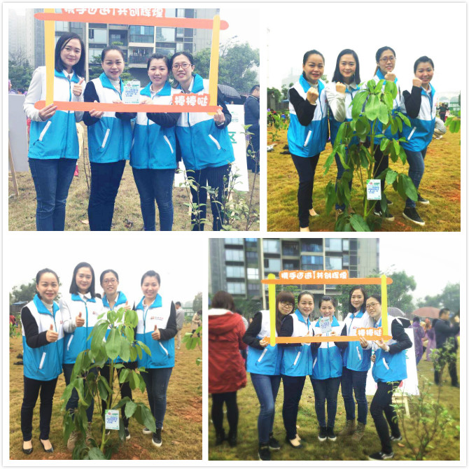 倍安樹(shù) (2).jpg