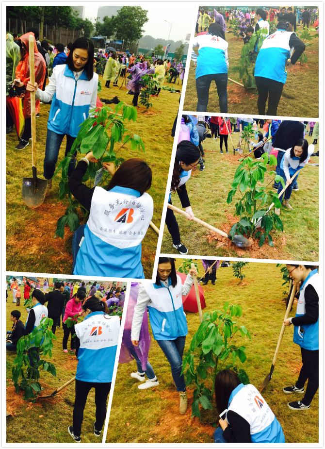 倍安樹(shù) (3).jpg