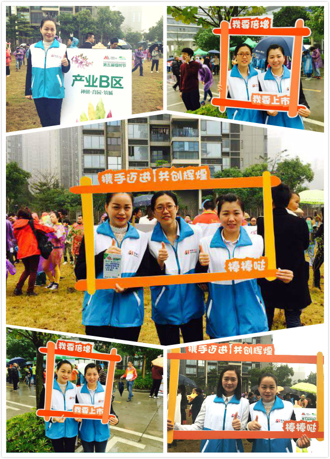 倍安樹(shù) (1).jpg